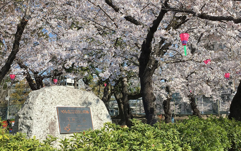 鶴舞公園のスポット施設詳細