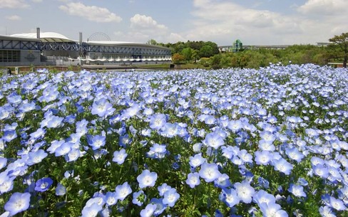 愛・地球博記念公園（モリコロパーク）のスポット施設詳細