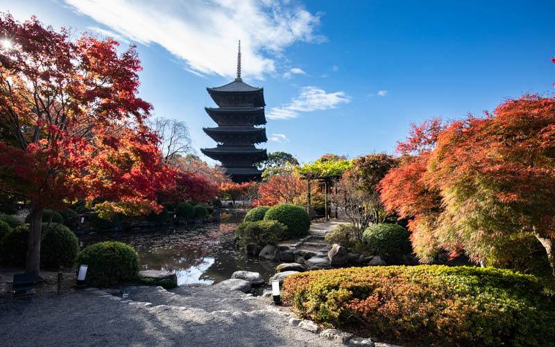 庭園からシンボル「五重塔」を望む景観は、それぞれの季節で違う魅力を感じさせてくれる。									