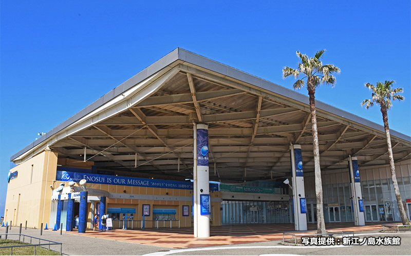 片瀬江ノ島駅より徒歩約3分。夏は目の前のビーチが多くの海水浴客でにぎわう。									