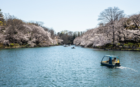 井の頭恩賜公園				のスポット施設詳細