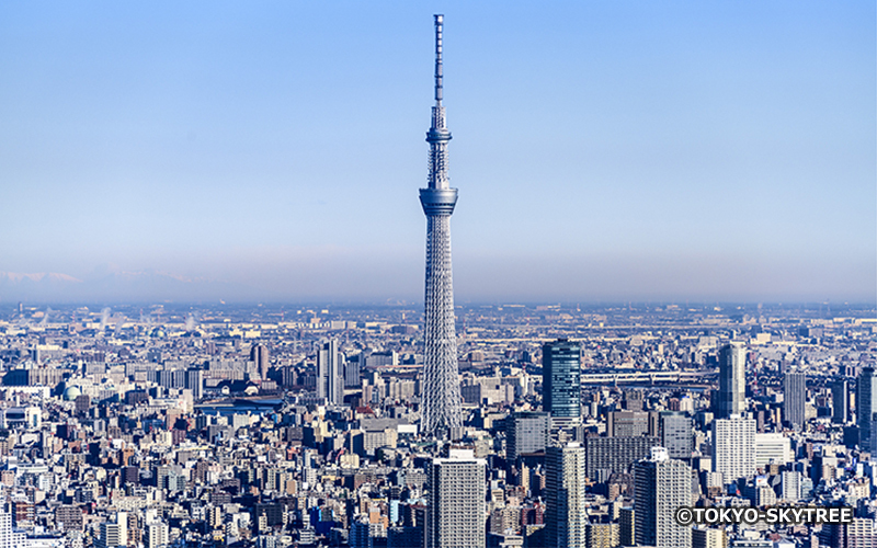 2012年5月に電波塔・観光施設として開業。 2011年に世界一高いタワーとして東京スカイツリーはギネス世界記録（TM）の認定を受けた。	
