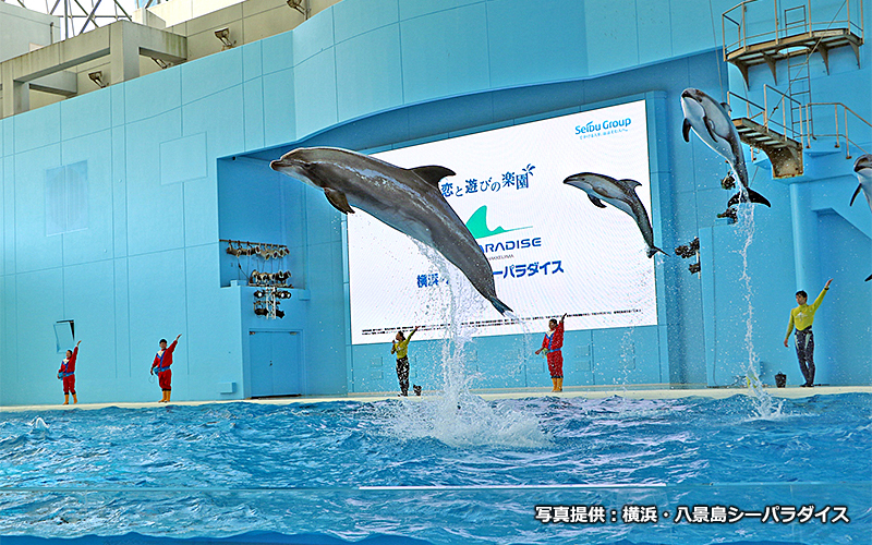 横浜 八景島シーパラダイス のスポット施設詳細 介護アンテナ