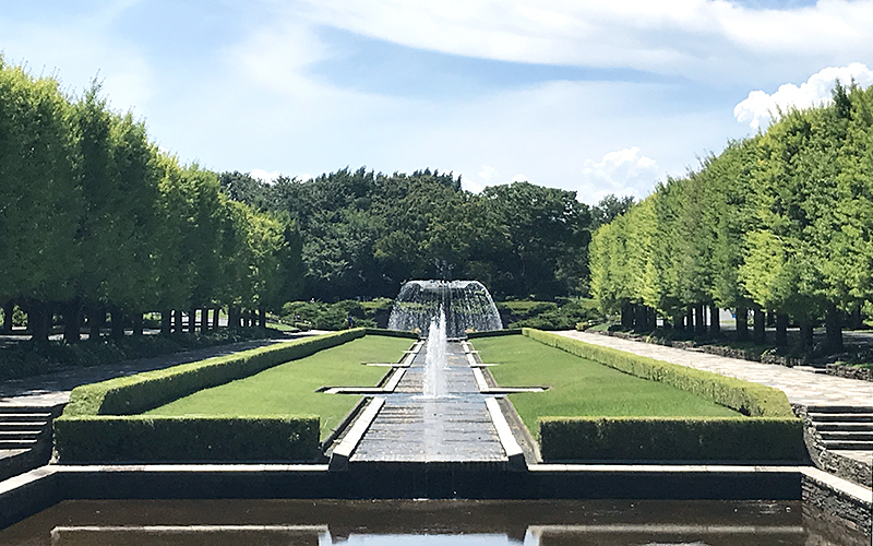 約200mまっすぐに伸びるカナールは、水の流れと芝生天然石の舗石が西洋庭園の佇まいをみせる沈床の広場。	