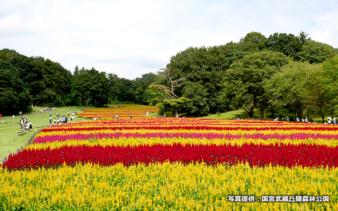 国営武蔵丘陵森林公園のスポット施設詳細