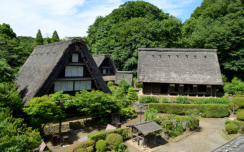 日本民家園。江戸時代に建てられた東日本の代表的な古民家などを移築した野外博物館。
