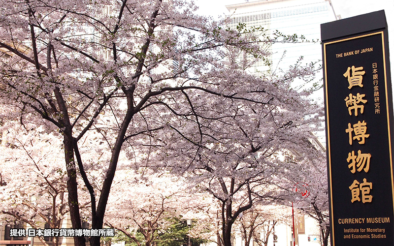 日本銀行の向いにある貨幣博物館。春には美しい桜の街路樹が見られる。