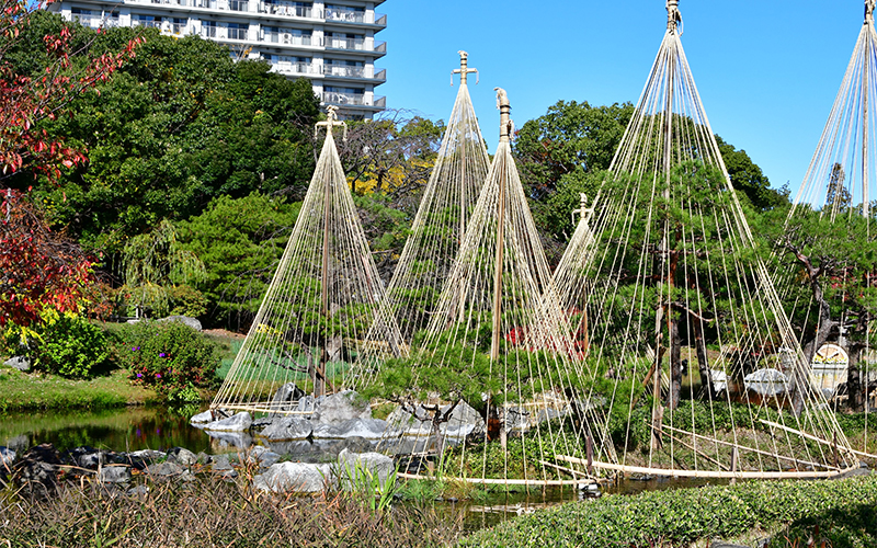 白鳥庭園のスポット施設詳細 介護アンテナ