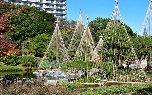 白鳥庭園のスポット施設詳細