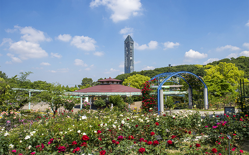 東山動植物園のスポット施設詳細